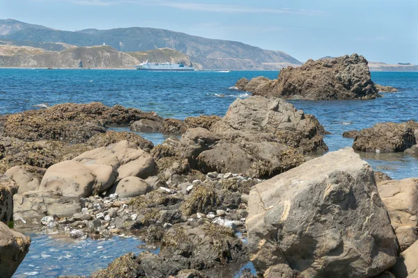Interislander přívoz vstoupí do přístavu naproti skalnaté pobřeží — Stock fotografie