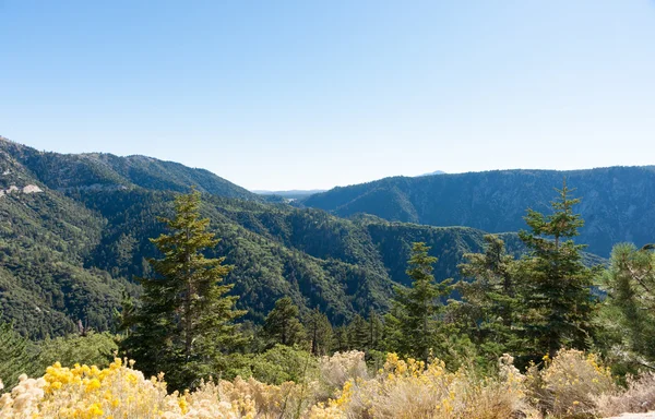 San Bernardino National Forest California USA — Stock Photo, Image
