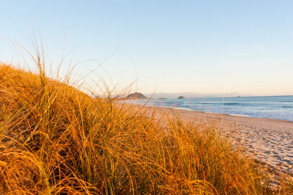 Papamoa at sunrise looking toward the Mount at end of beach — Stock Photo, Image