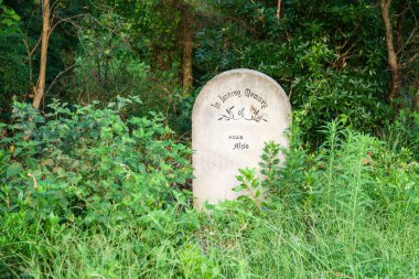 Yeşil Bush kontrastlı beton mezar taşı