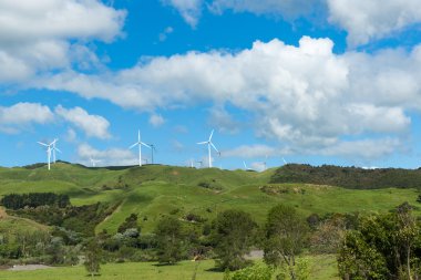 Rolling New Zealand farmland with wind turbines on horizon. clipart