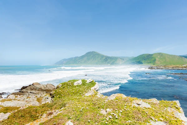 Costa Nova Zelândia — Fotografia de Stock Grátis