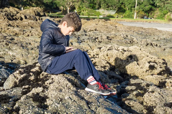 モバイル デバイス ワイプ コーブと岩の上の少年 — ストック写真