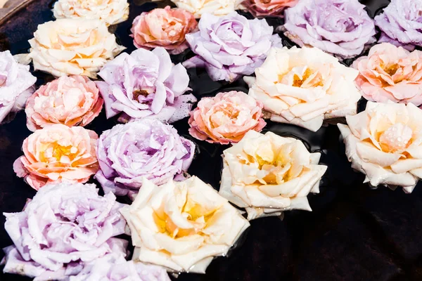Rosas flotantes suaves colores pastel — Foto de Stock