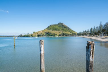 Mount Maunganui Pilot beach Körfezi boyunca 