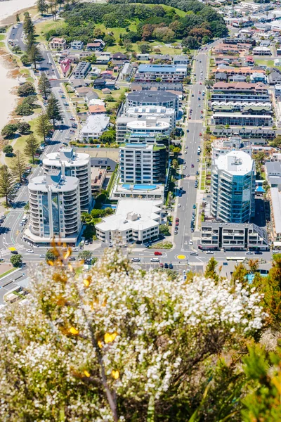 Гора Maunganui курортний район — стокове фото