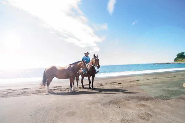 Paseos locales en la playa con dos paradas de caballos para una foto — Foto de Stock