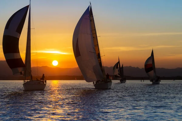 Sunset Sailing Tauranga New Zealand — Stock Photo, Image