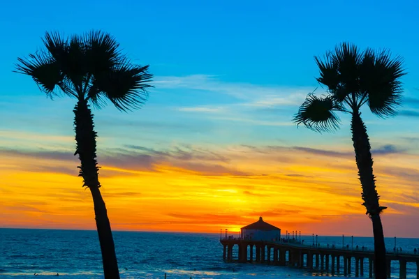 Tropical Palms Californian Beaches — Stock Photo, Image
