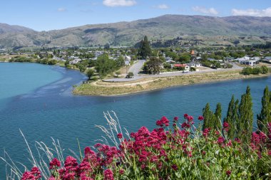 Orta Otago 'nun Cromwell kasabası Orta Otago Yeni Zelanda' daki Turkuaz Clutha Nehri 'nde kıvrılıyor..