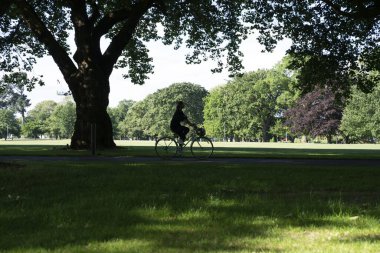 Yoldan geçenlerin silueti Hagley Park Christchurch 'deki büyük ağaçların gölgesinde yol alırken ya da egzersiz yaparken görülüyor..