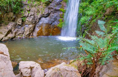 Canterbury Yeni Zelanda 'da Washpen Şelalesi