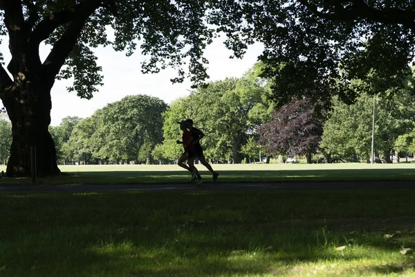 Silhouette Figures Passers Commuting Exercising Path Shade Large Trees Hagley —  Fotos de Stock