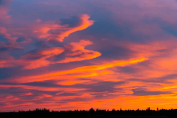 Céu Colorido Brilhante Dramático Por Sol Sobre Paisagem Rural Silhueta — Fotografia de Stock