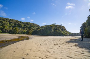 Stewart Adası 'ndaki Mill Creek' te çalıların arasında kumlu sahilden geçen dere..
