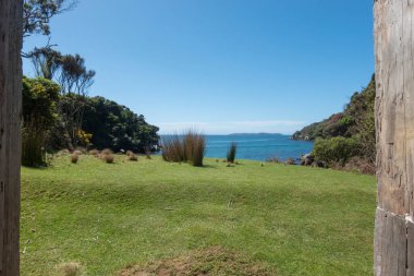 Stewart Adası 'ndaki Ackers Point yakınlarında mavi deniz ve gökyüzüne kadar uzanan yeşil çimenli çimlere bakın..