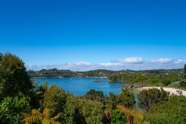 Blick Auf Bucht Unten Schöne Malerische Strände Von Stewart Island — Stockfoto