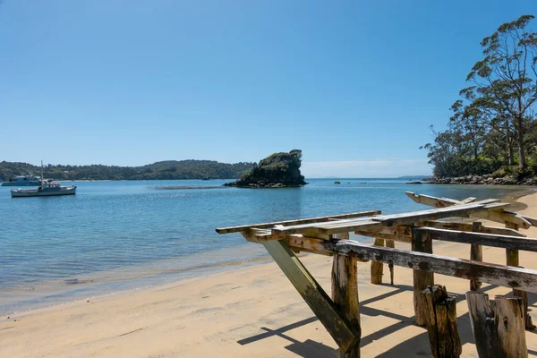 Γραφική Lonnekers Παραλία Κατά Μήκος Elgin Terrace Stewart Island — Φωτογραφία Αρχείου