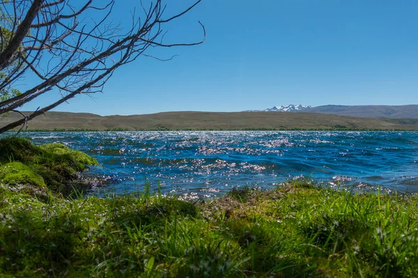 Windy Day Lake Alexandrina South Island — Stock Photo, Image