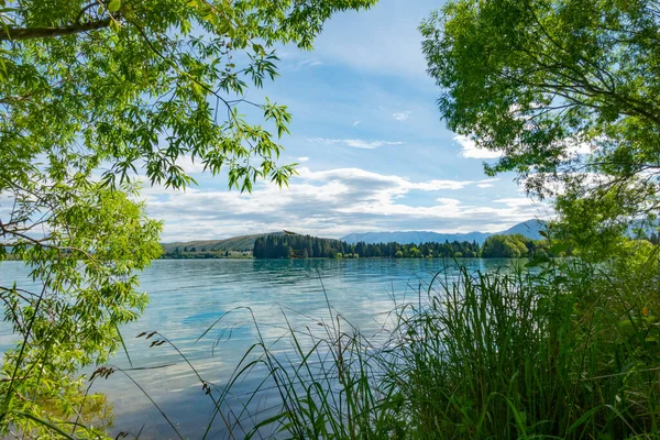 Vue Depuis Bord Lac Entre Les Saules Travers Lac Ruataniwha — Photo