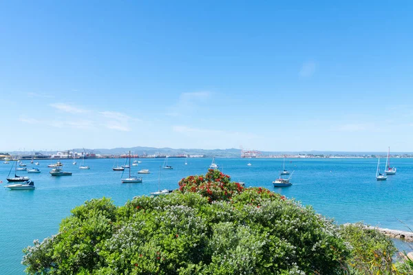 Ver Través Del Puerto Tauranga Desde Base Del Monte Maunganui — Foto de Stock