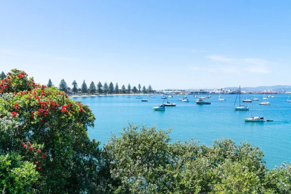 Vista Sul Porto Tauranga Dalla Base Del Monte Maunganui Attraverso — Foto Stock