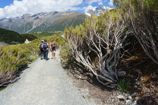 Mount Cook Nový Zéland Únor 2015 Turisté Procházka Podél Štěrkové — Stock fotografie