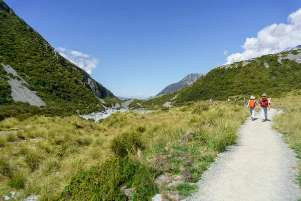マウントクックニュージーランド 2月16 2015 フッカーバレーは山の斜面の間に高山植物を巻き 観光客が散歩を楽しんでいる素晴らしい散歩の1つで観光客とトラック — ストック写真