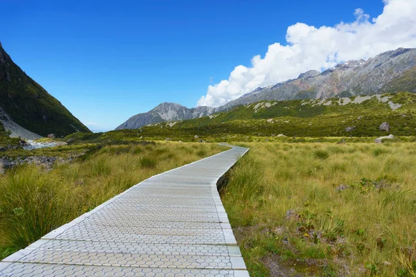 Wooden Section Hooker Valley Walkway Mountains Grassy Valley Floor Mount — Stock Photo, Image