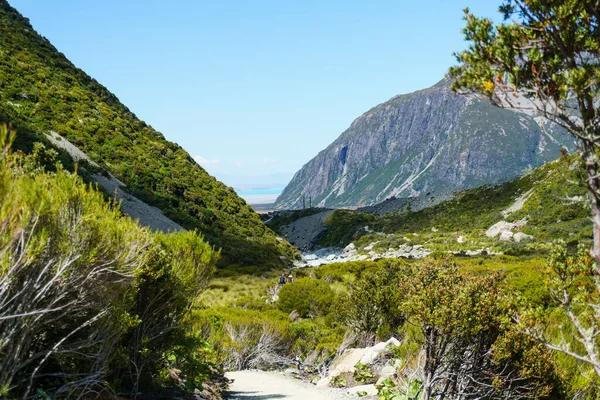 Monte Cook Nova Zelândia Fevereiro 2015 Pista Hooker Valley Que — Fotografia de Stock