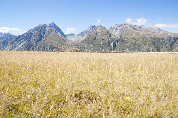 Paisagem Grama Dourada Rodovia Através Dos Alpes Sul South Island — Fotografia de Stock