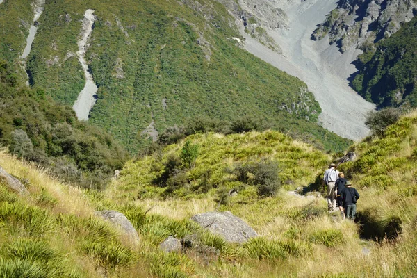 Zuidelijke Alpen Nieuw Zeeland Februari 2015 Groep Van Drie Middleaged — Stockfoto