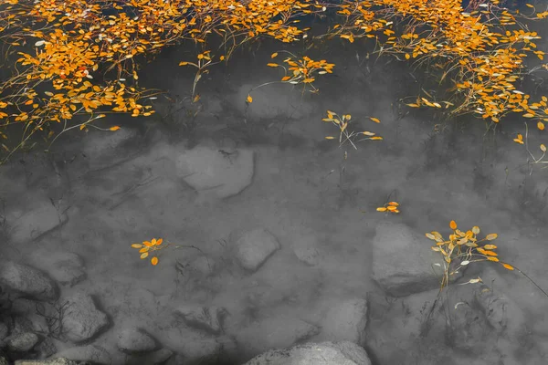 오렌지 단색의 연못에서 갈라지고 대조를 이룬다 — 스톡 사진