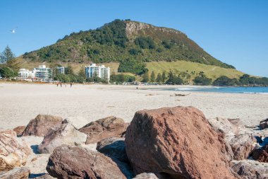 Tauranga Yeni Zelanda 'nın ana plajının sonundaki Maunganui Dağı' nın ünlü simgesi..