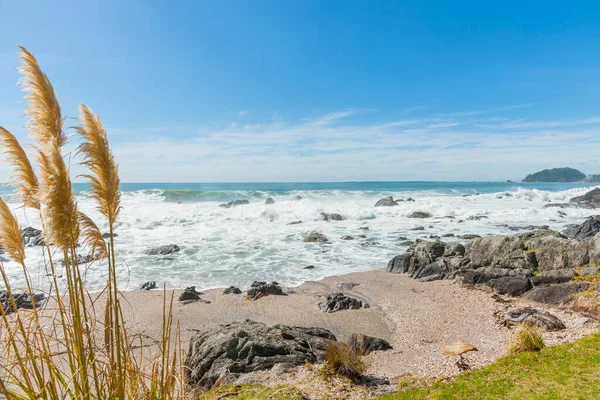 Felsiger Strand Mit Rauer See Und Weißem Schaum Und Pampasgras — Stockfoto