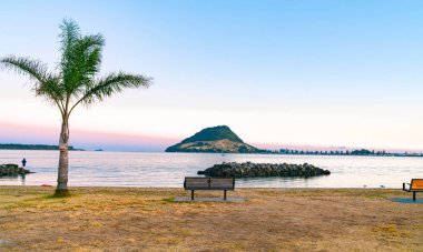 Tauranga limanı boyunca uzanan ufukta Maunganui Dağı var. Palmiye ağacı ve boş bank koltuğu ile birlikte Sülfür Noktası 'ndan..