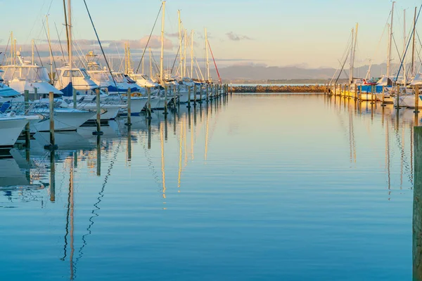 Barcos Tauranga Marina Cais Refletidos Água Calma Luz Dourada Nascer — Fotografia de Stock