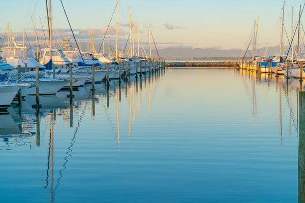 Tauranga Marina Hajók Mólók Tükröződik Nyugodt Vízben Arany Fényében Napkelte — Stock Fotó