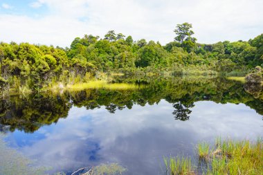 Çalı ve ormanın çevresi sakin sulara, Catlins, Yeni Zelanda 'nın güneyindeki Wilkie Gölü' ne yansıyor..