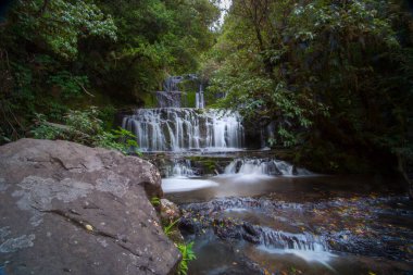 Manzaralı Purakaunui Şelalesi Catlins 'in güneyindeki Yeni Zelanda Adası' ndaki çalılıkların ortasındaki üç kaya terasından taşar..