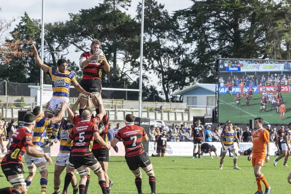 stock image TAURANGA, NEW ZEALAND - September 1 2018; Rugby at Tauranga Domain, Bay of Plenty Steamers team playing Canterbury jumping in line-out in National Championship.