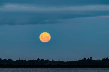 Gece arkaplanı ya da gökyüzü sahnesi için koyu gökyüzünde turuncu renkli ay.