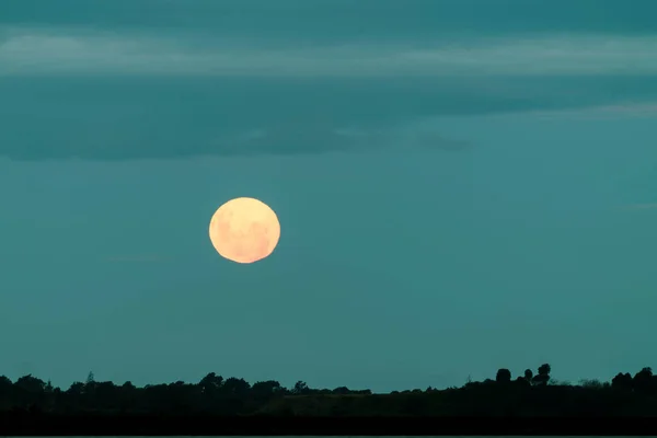 Luna Color Naranja Tono Retro Colr Cielo Oscuro Para Fondo — Foto de Stock