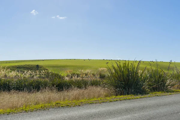 Rollendes Ackerland Aus Ländlichem Hintergrund Straßenrand Southland New Zealand — Stockfoto