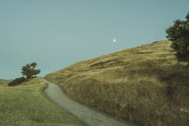 Maunganui Dağı 'na giden yol ve ay mahsulü etkisi.