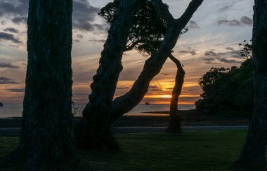 Siluet ve gün batımı Büyük Bariyer Adası Yeni Zelanda 'daki Mulberry Grove Sahili' nde..