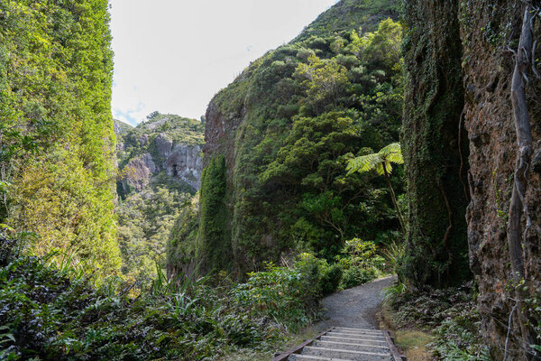 Steps and path between sheer rock and vegetation clad walls of Windy Canyon on Great Barrier Island New Zealand.