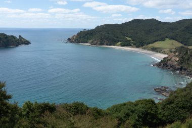 Harataonga Sahili, Büyük Bariyer Adası 'nın tepesinde..