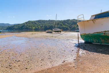 Tryphena HArbour Büyük Bariyer Adası 'ndaki Shoal Bay' de dalgaların çekildiği sahilde kayıklar uzanıyor..