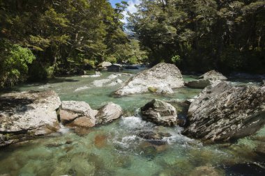 Orman deresi kayalık nehir yatağından ve manzaralı ormandan akıyor..